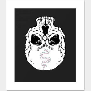 skull t-shirt Posters and Art